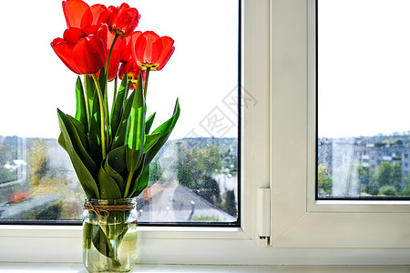 花瓶中的红色郁金香 在窗台上亮明 乡村风格 阳光下 复活节装饰的花束以开放背景玻璃投标窗户花朵礼物阴影植物季节薄雾叶子图片