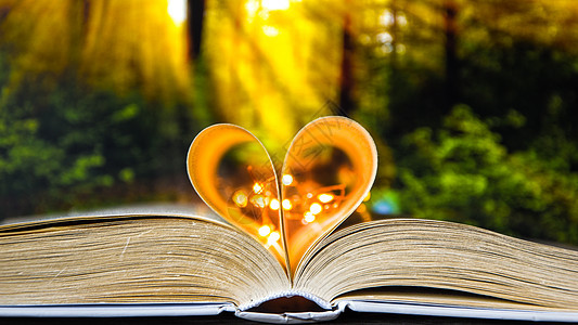 在森林自然背景上隔绝的爱情符号书 心脏形状近距离书籍教育页数小说收藏品风格传统太阳装饰品阅读文学图片