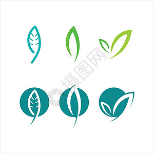 绿色树叶生态标志插图收藏太阳美丽叶子植物生活热带公司家庭图片