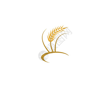 小麦矢量图标它制作图案标签种子收成谷物植物耳朵生长营养产品农场图片