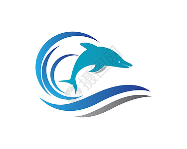海豚标志图标 vecto字母艺术品牌标签海浪蓝色生活商业卡片圆圈图片