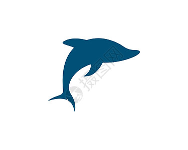 海豚标志图标 vecto字母海浪公园动物身份蓝色品牌插图白色生活图片