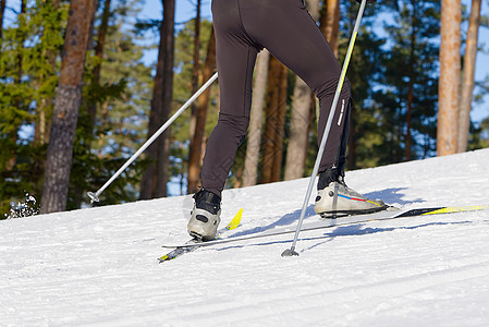 在阳光明媚的冬季日子里 跨国滑雪 跨国家滑雪 近距离接近越野娱乐晴天跑步运动员天空竞赛活动季节森林图片