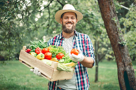 农民的手带蔬菜的快乐男子农民背景