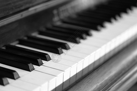 钢琴键和木质谷物乌木乐器象牙木头钥匙古董音乐白色音乐会黑色图片