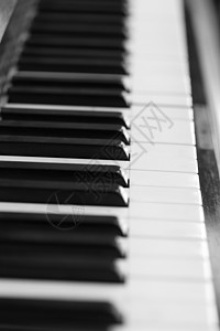 钢琴键和木质谷物钥匙黑色乐器音乐家白色艺术象牙乌木音乐音乐会图片