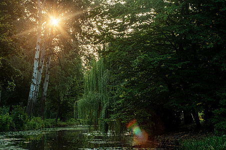 2019年乌克兰公园光束森林阳光太阳公园射线树木花园建筑学小路图片