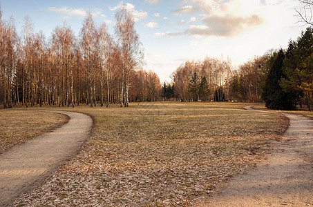 乌克兰比拉采尔克瓦奥莱桑德里亚公园图片