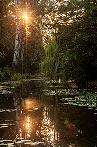 2019年乌克兰公园光束花园森林季节阳光树木建筑学公园天空植物图片