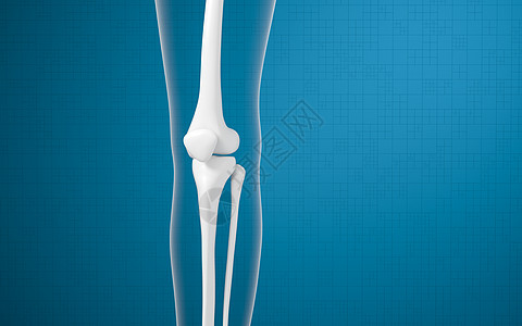 腿骨和膝盖 3D感应蓝色身体健康插图骨科解剖学外科治疗疾病手术图片
