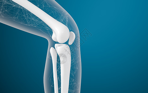 腿骨和膝盖 3D感应渲染胫骨疾病生物学软骨骨骼健康骨科蓝色治疗图片