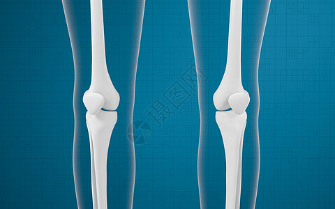 腿骨和膝盖 3D感应疾病外科渲染蓝色胫骨软骨关节解剖学生物学身体图片
