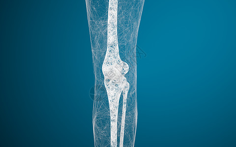腿骨和膝盖 3D感应骨科外科线条治疗蓝色关节插图渲染软骨手术图片