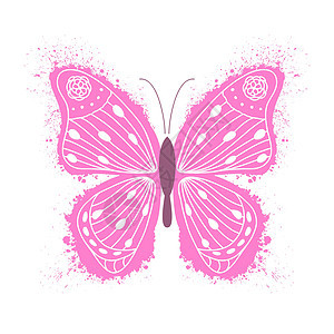 粉红色的蝴蝶在惠特图片