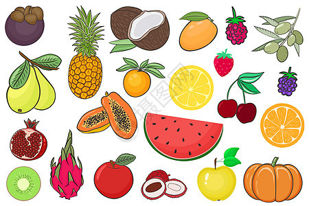 一套水果和浆果矢量图图片
