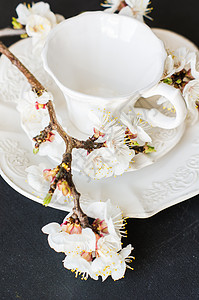 配桃花开的春季概念玻璃表组餐具银器树叶环境樱花盘子餐巾绿色图片