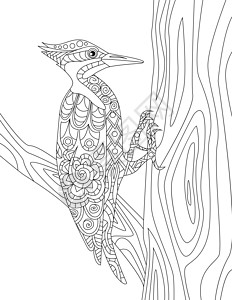 啄木鸟在树干上试图打洞无色线描 啄木鸟停留在树枝上啄木着色书页图片