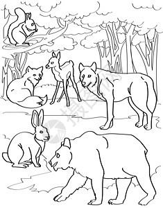不同的森林生物鹿狐狼熊兔与树背景线条画 丛林背景着色书页中的多种野生动物图片