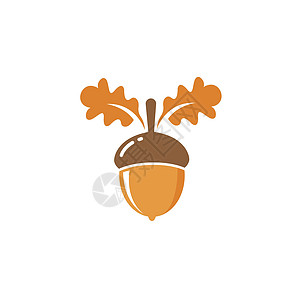 橡树橡子矢量图设计木头橡树叶坚果季节植物学叶子插图棕色橡木生长图片