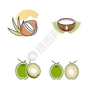 椰子标志矢量图标设计它制作图案情调可可叶子甜点标识插图牛奶饮食食物营养图片