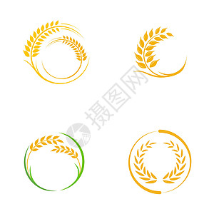 农业小麦水稻矢量图标设计标签质量标识燕麦徽章粮食种子稻田食物生长图片