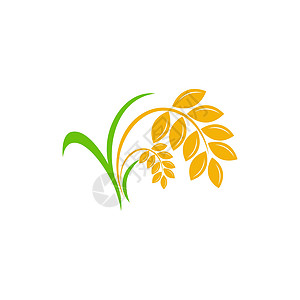农业小麦水稻矢量图标设计营养植物种子农场面包早餐金子标识徽章标志图片