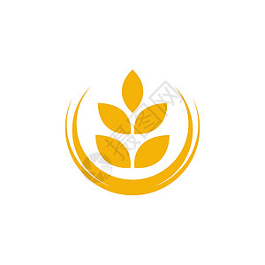 农业小麦水稻矢量图标设计稻田插图生长营养产品早餐叶子粮食标识标签图片