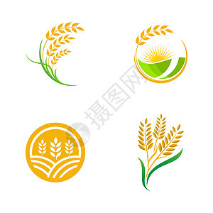 农业小麦水稻矢量图标设计食物稻田啤酒农民收成生长粮食产品金子营养图片
