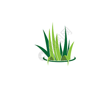 草标志 vecto植物草地商业创造力芦荟圆形叶子季节性绿色生态图片