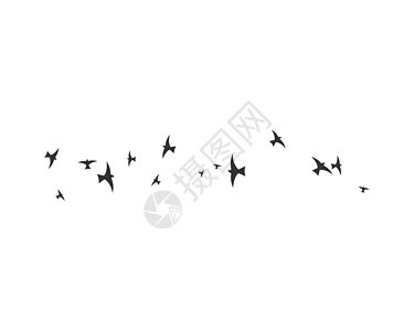 鸟标志模板收藏宠物空气天空异国航班殖民地翅膀飞行鸽子图片