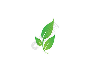 叶生态自然元素矢量 ico植物生活热带公司收藏叶子美丽插图标识环境背景图片
