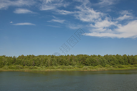 夏季自然的森林湖树阳光季节旅游松树太阳森林农村蓝色植物公园图片
