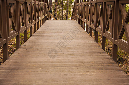 有台阶的老木桥在森林里 在木头的楼梯 冒险和探索的概念人行道公园天空建筑学建筑旅行叶子生态梯子环境图片