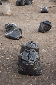 在公园里装满了秋叶的黑袋子 城市公园清扫落叶上的树叶打扫垃圾场景街道解雇垃圾袋城市院子草地堆肥图片