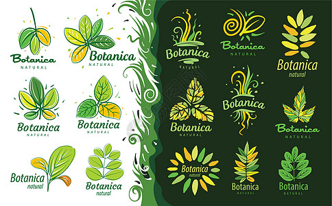 一组带有 Botanica 铭文和彩绘叶子的徽标图片