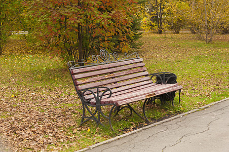 秋天公园的木林长凳叶子森林风景座位棕色小路场景绿色植物季节图片