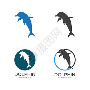 海豚标志图标 vecto动物蓝色插图公园身份生活圆圈品牌曲线卡片图片