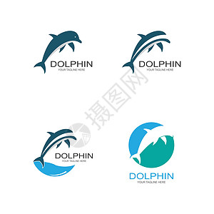 海豚标志图标 vecto身份公园曲线标签动物艺术蓝色插图海浪卡片图片
