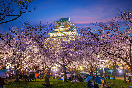 樱花季节在大阪城堡的暮光日落吸引力旅行观光历史旅游堡垒地标世界天际图片