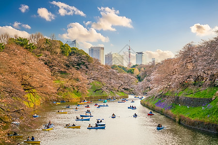 春季的公园与东京的sakura城市旅游观光花园蓝色运河季节节日风景旅行图片