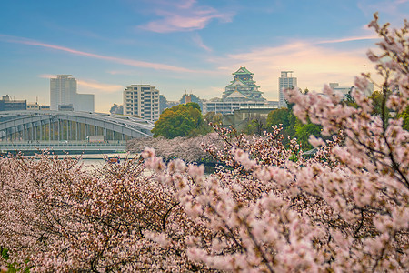 樱花季节在大阪城堡的暮光堡垒观光历史天际世界公园建筑学文化日落吸引力图片