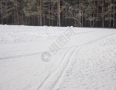 以经修改的跨国家滑雪方式进行环球景色木头季节场景运动国家白色森林小路天空蓝色图片
