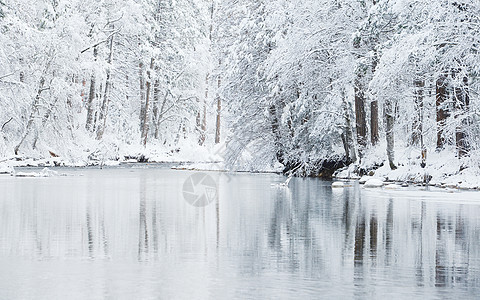 Yosemite 冬季黑色白色公园反射旅游国家草地环境松树森林图片