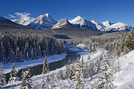 冬季的加拿大岩石冰川场景公园国家白色运输高山火车顶峰风景图片