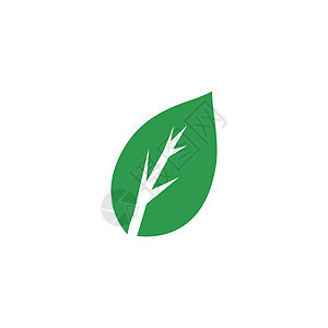 绿树叶生态自然元素网络艺术生物商业生活标签回收产品标识环境图片