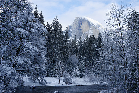 Yosemite 冬季白色公园风景国家森林黑色旅游松树草地环境图片