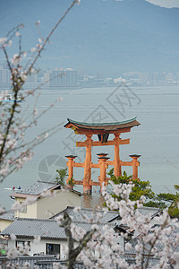 岛旅行神社历史性海岸地标神道樱花建筑学世界宗教图片