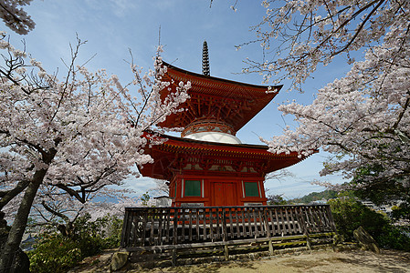 岛旅游宗教宝塔神社地标寺庙旅行樱花遗产神道图片