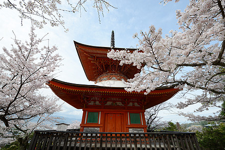 岛地标建筑学遗产神社樱花寺庙宗教宝塔神道旅游图片