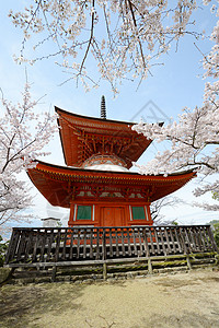 岛遗产宝塔旅游神道旅行神社建筑学宗教樱花寺庙图片